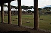 24 - Pompei Scavi