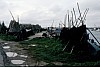 013 - Gorino - Il porto