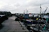 014 - Gorino - Il porto