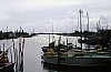 017 - Gorino - Il porto