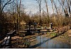 011 - Ravenna - Oasi di Punta Alberete