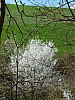04 - Parco Regionale della Vena del Gesso Romagnola