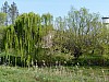 007 - Castelmassa (RO)