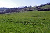 001 - Ciano d'Enza (RE) - Sentiero Matilde