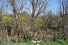 002 - Ciano d'Enza (RE) - Sentiero Matilde