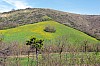 009 - Ciano d'Enza (RE) - Sentiero Matilde