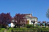 016 - Tigliole (AT)