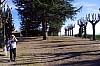 021 - Albugnano (AT)