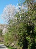 025 - Albugnano (AT)