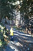 31 - Passo Monte Croce Carnico