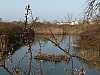 10 - Parco naturale Valle Canal Novo 