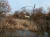 19 - Parco naturale Valle Canal Novo 