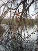 39 - Parco naturale Valle Canal Novo 