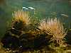 45 - Parco naturale Valle Canal Novo - Acquario