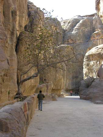 026 - Petra - Siq