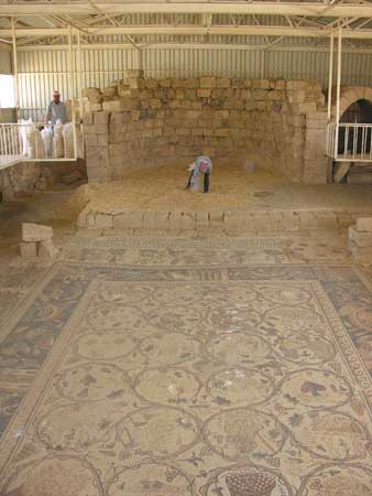 07 - Um Ar-Rasas - Mosaico della chiesa di S Stefano