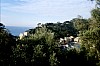 085 - Portofino - Panorama