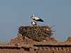 15 - Ksar Ait Ben-Haddou