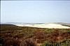 090 - Is Arenas - La spiaggia con le immense dune