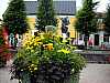 11 - Svezia - Laholm - Fontana sulla piazza centrale