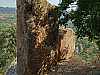 09 - Nemrut Dagi - Arsameia - Resti con iscrizioni